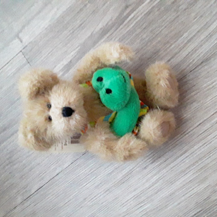 Boyd's Bear